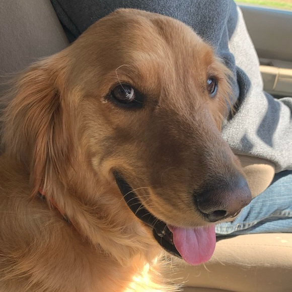 Meet your Posher, Tina - Picture 1 of 1